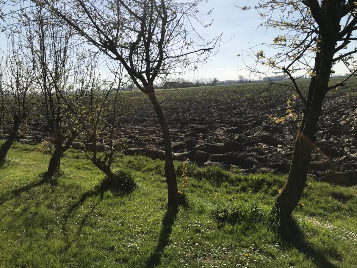 Dijkhuisje Zeeland Waterlandkerkje Eksteriør bilde
